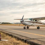 plane forfeiture tests constitutional limits