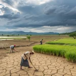 india weak monsoon forecast 2026