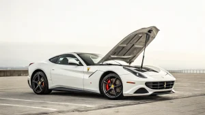 ferrari brand purity warning products